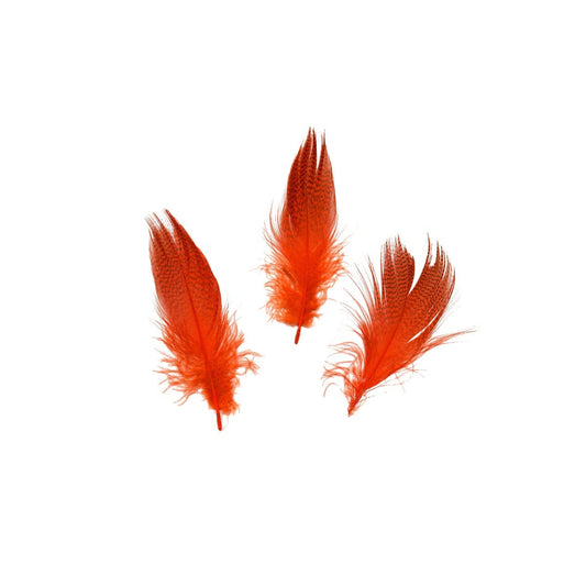 Duck Plumage Mallard Feathers - Hot Orange
