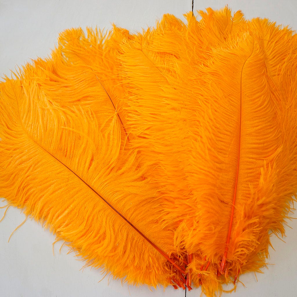 Large Ostrich Feathers - 17"+ Drabs - Mango