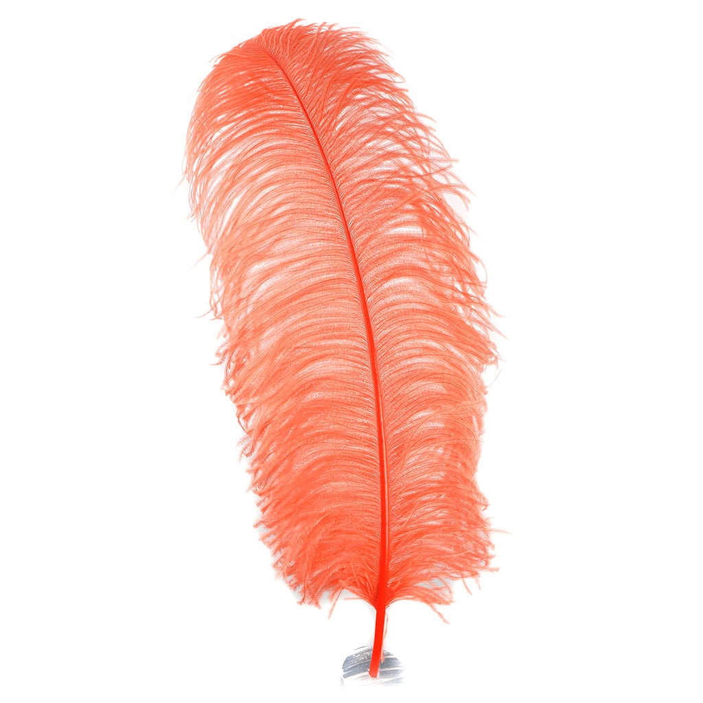 Large Ostrich Feathers - 20-25" Prime Femina Plumes - Hot Orange