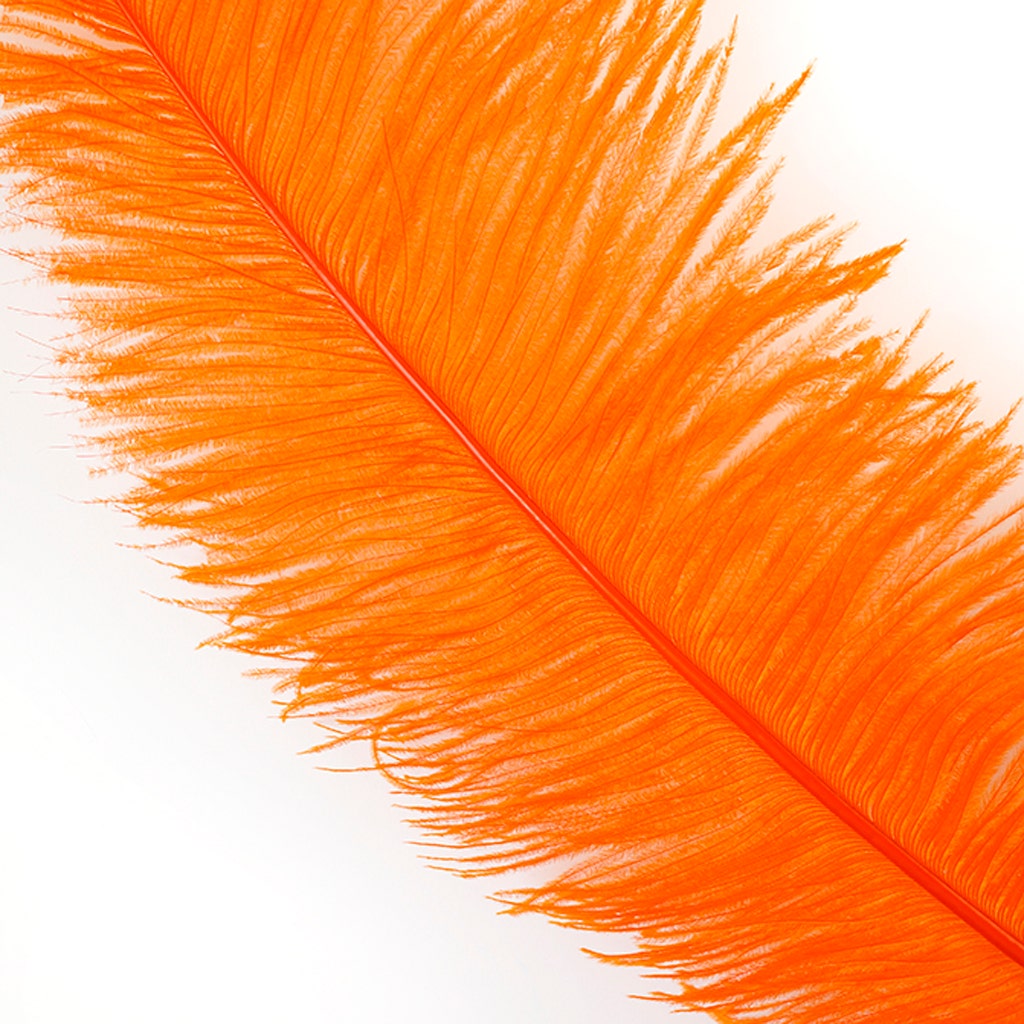 Large Ostrich Feathers - 18-24" Spads - Orange