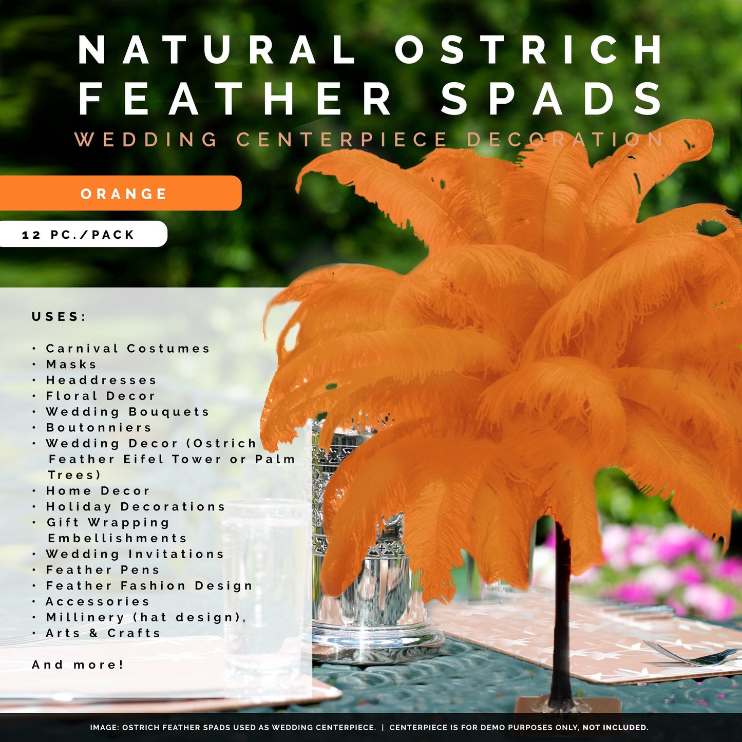 Large Ostrich Feathers - 18-24" Spads - Orange