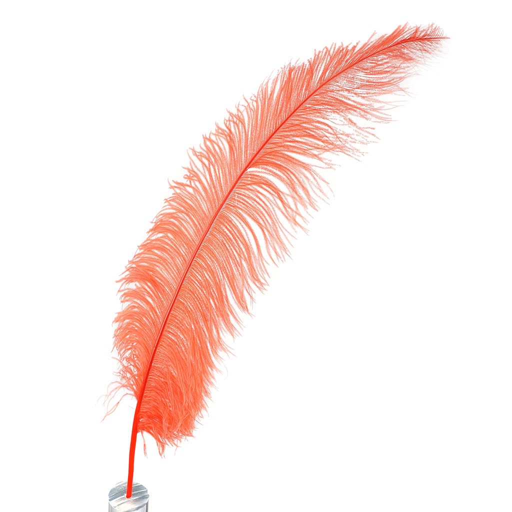 Large Ostrich Feathers - 18-24" Spads - Hot Orange
