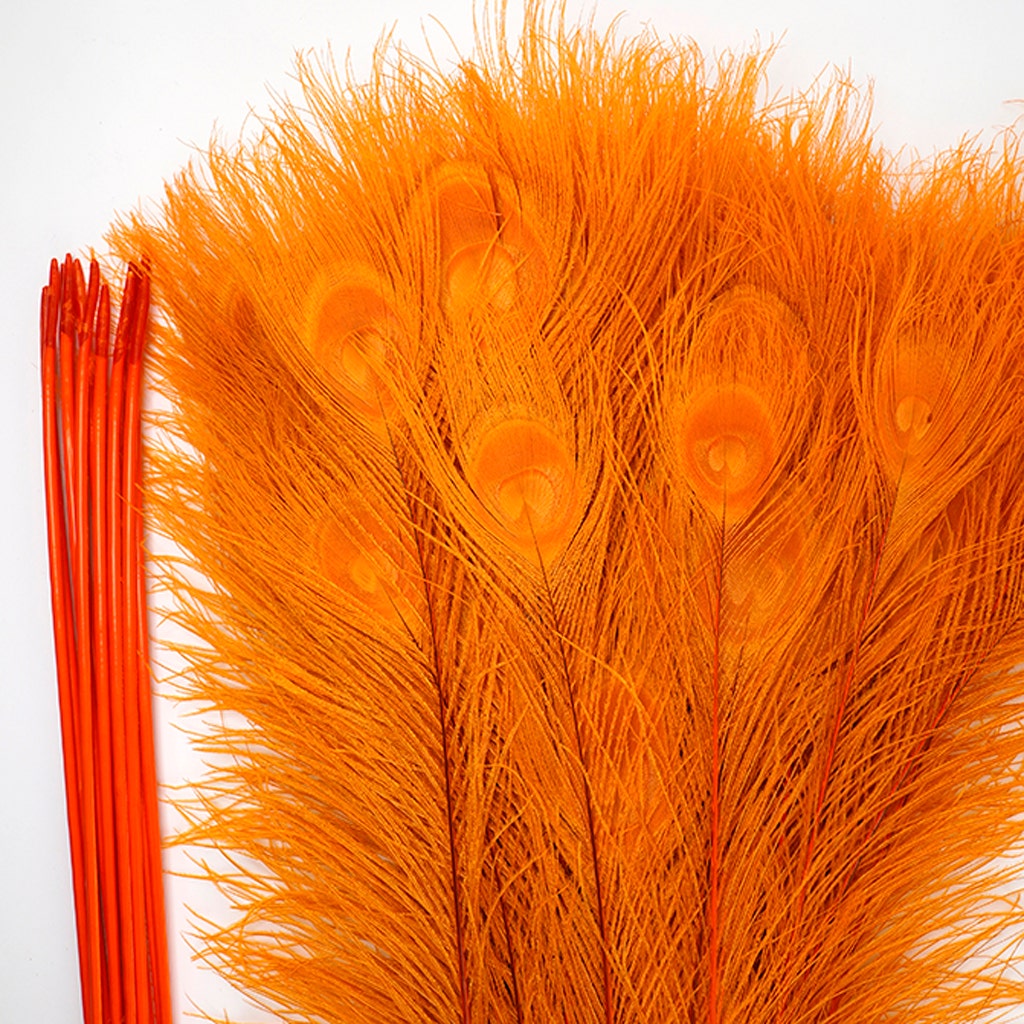 Peacock Eyes Bleached/Dyed - Orange 30-40" - 10 PC