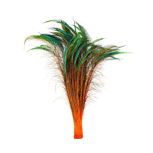 Bulk Peacock Sword Feathers Stem Dyed - 100 pc - 25-40" - Orange