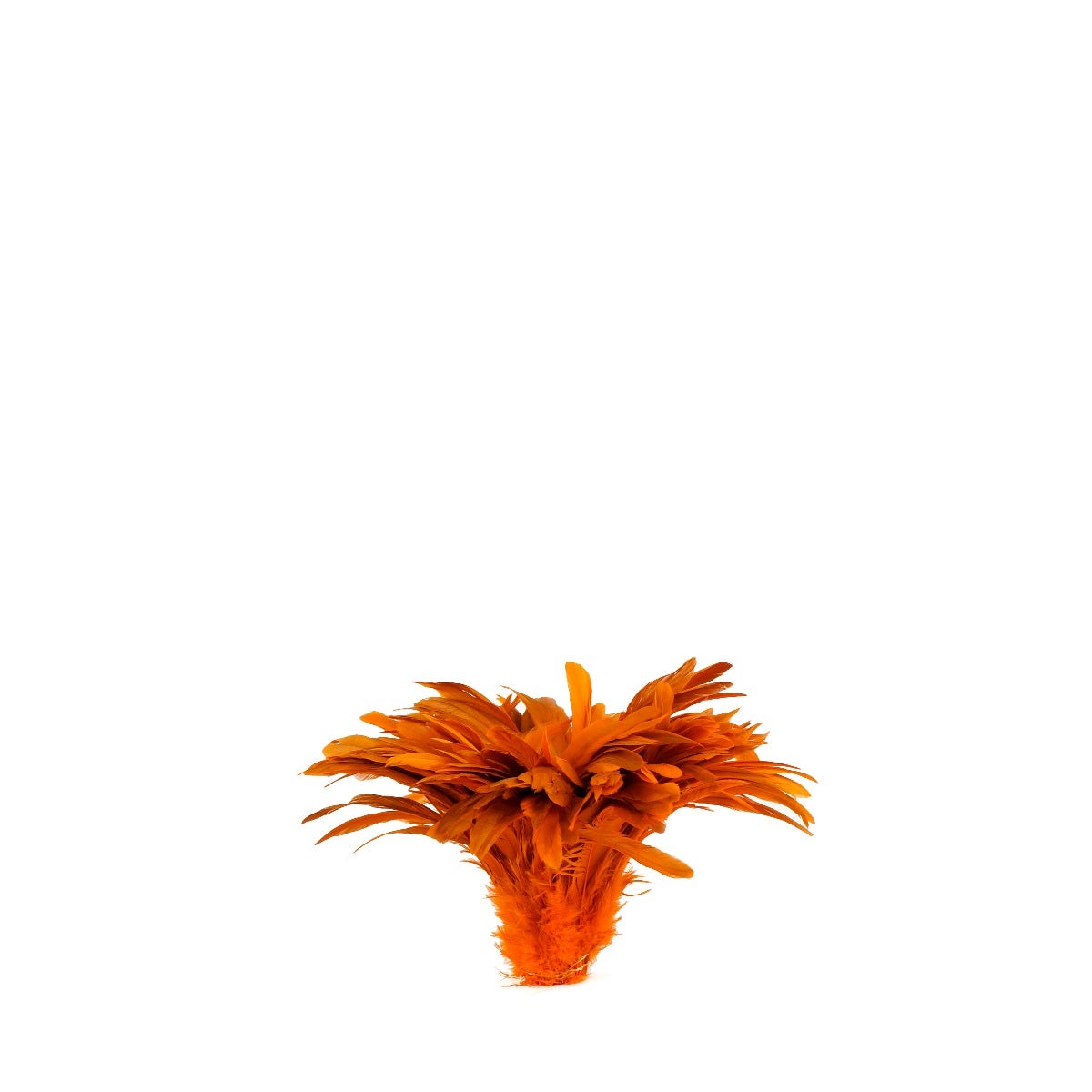 ROOSTER COQUE TAILS FEATHERS BLEACH DYED 7-10” - 1/2 Yard ( 18" ) - Orange