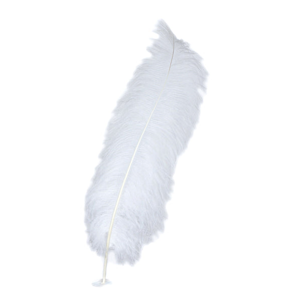 White Ostrich Feathers Bulk - 20pcs Making Kit 22 Inch Large