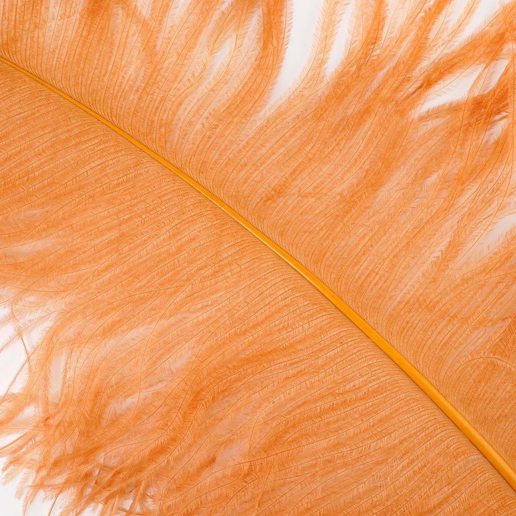 Large Ostrich Feathers - 24-30" Prime Femina Plumes - Cinnamon