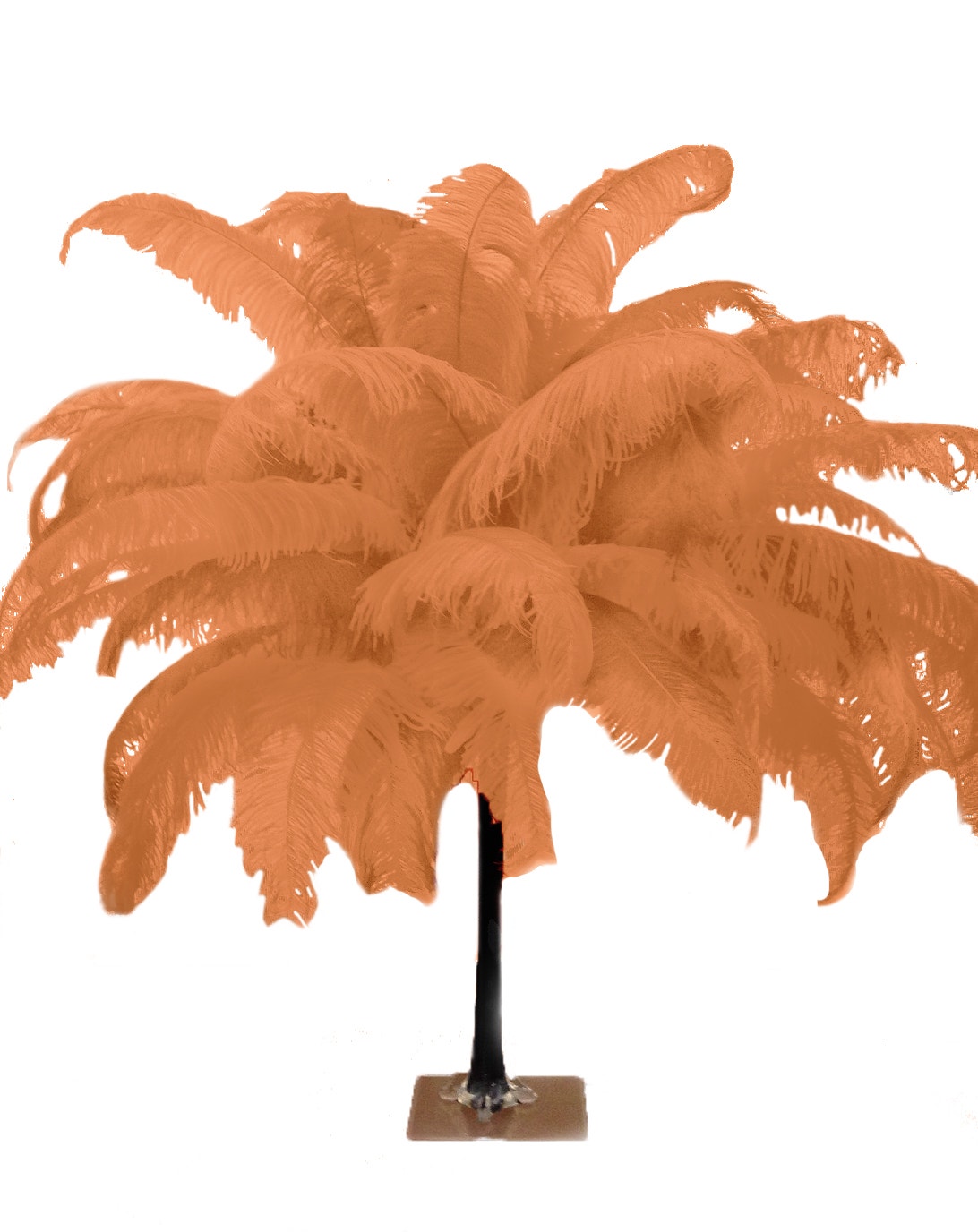 Large Ostrich Feathers - 18-24" Spads - Cinnamon