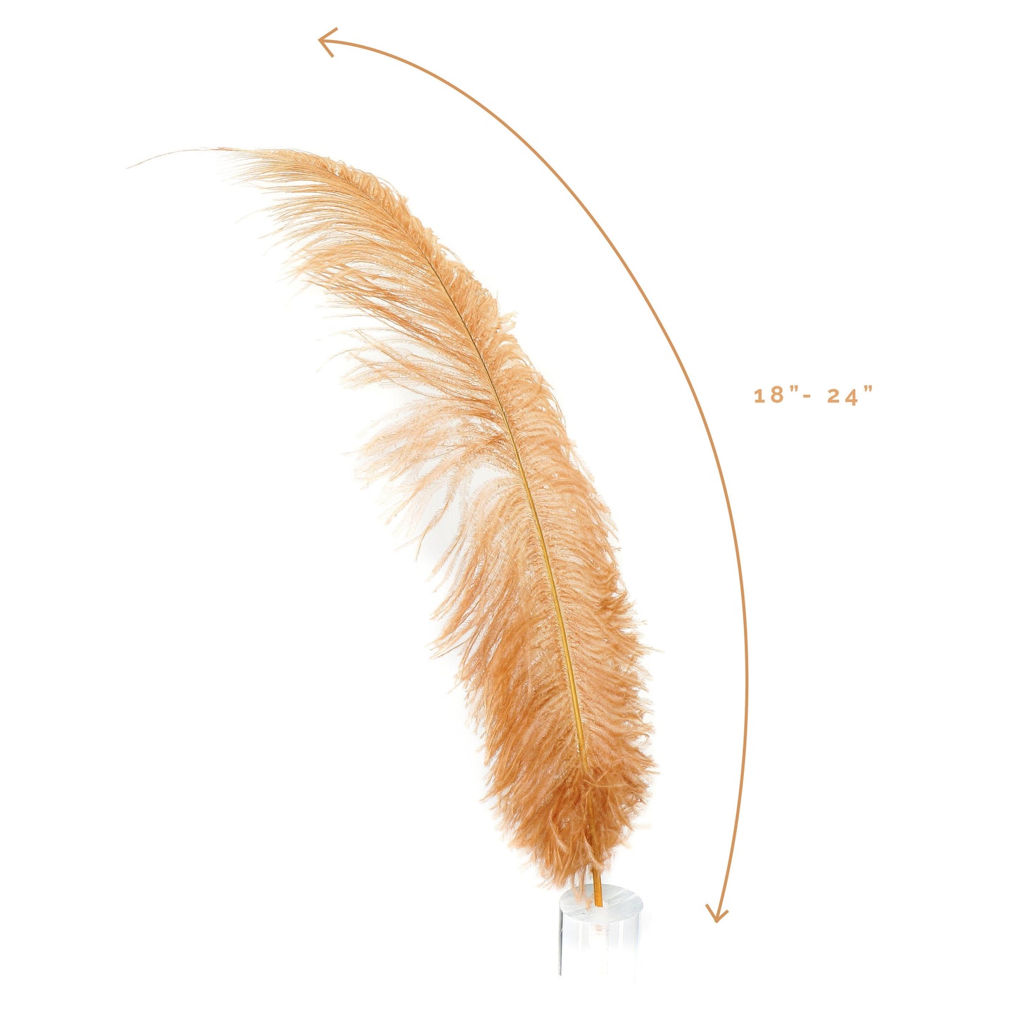 Large Ostrich Feathers - 18-24" Spads - Cinnamon