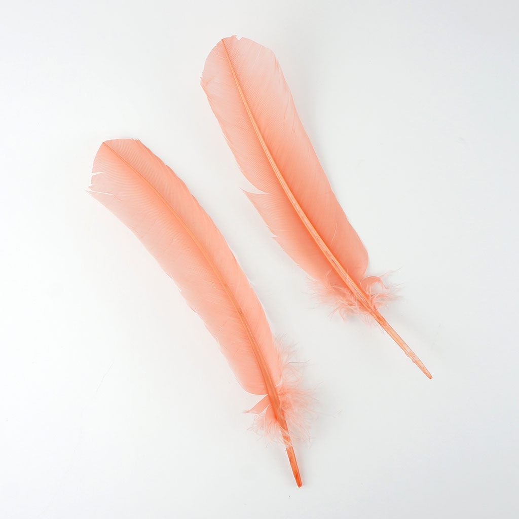 Turkey Quills Dyed Feathers Apricot Blush