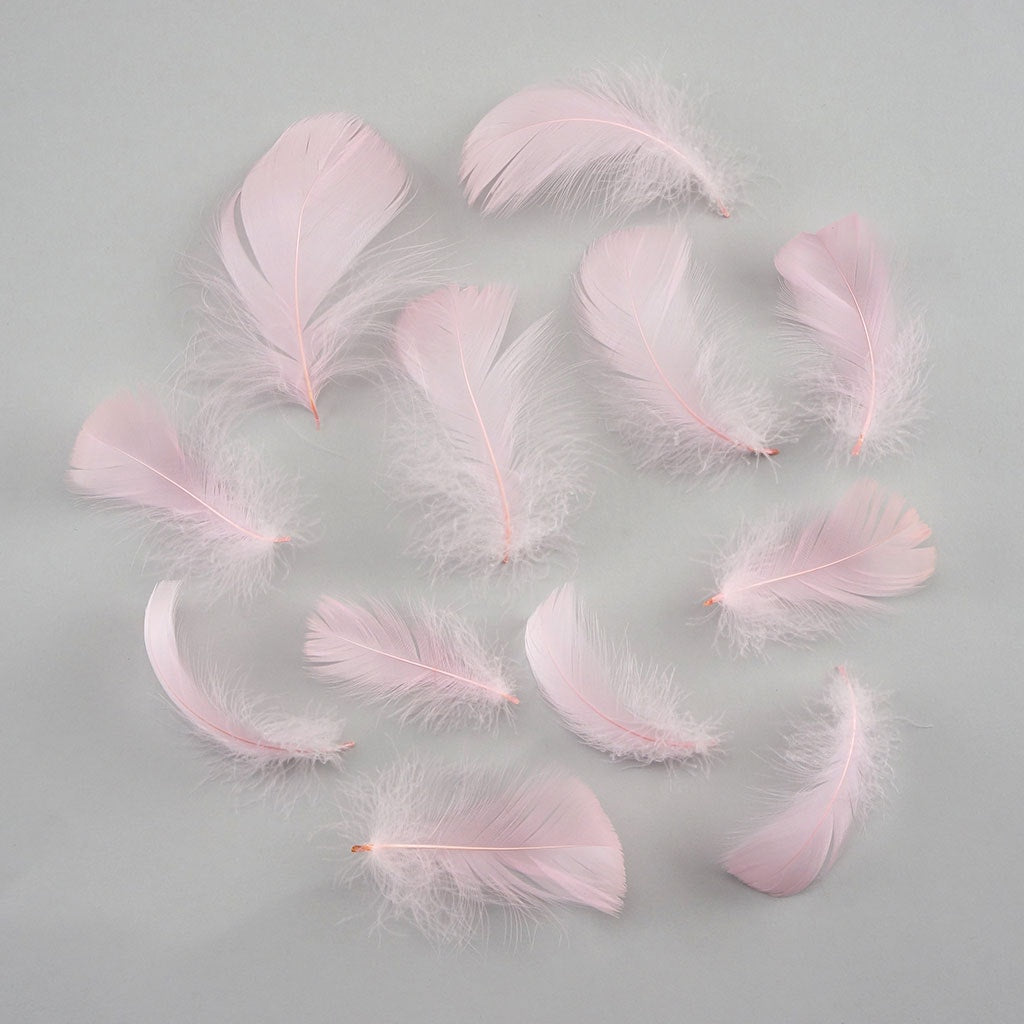 Bulk Goose Coquille Feathers Dyed - Candy Pink - 1/4 lb