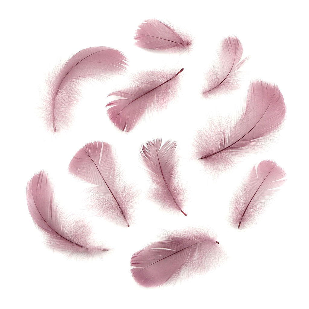 Bulk Goose Coquille Feathers Dyed - Dusty Rose - 1/4 lb