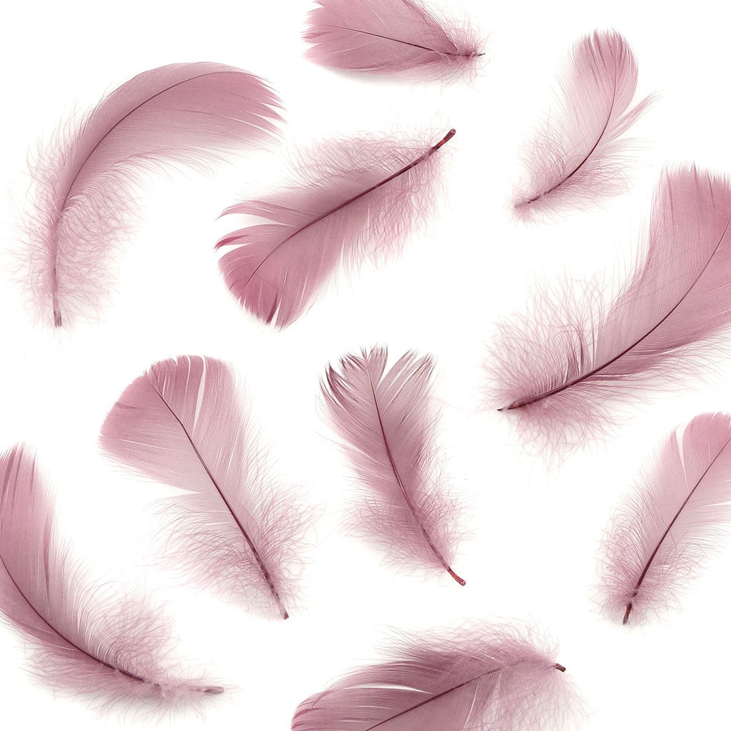 Bulk Goose Coquille Feathers Dyed - Dusty Rose - 1/4 lb