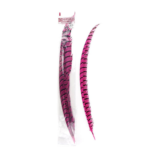 Lady Amherst Pheasant Tails - Shocking Pink