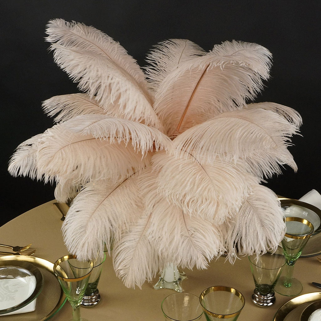 Ostrich Feathers 13-16" Drabs - Champagne