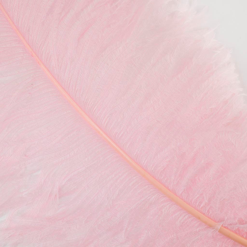 Large Ostrich Feathers - 20-25" Prime Femina Plumes - Candy Pink