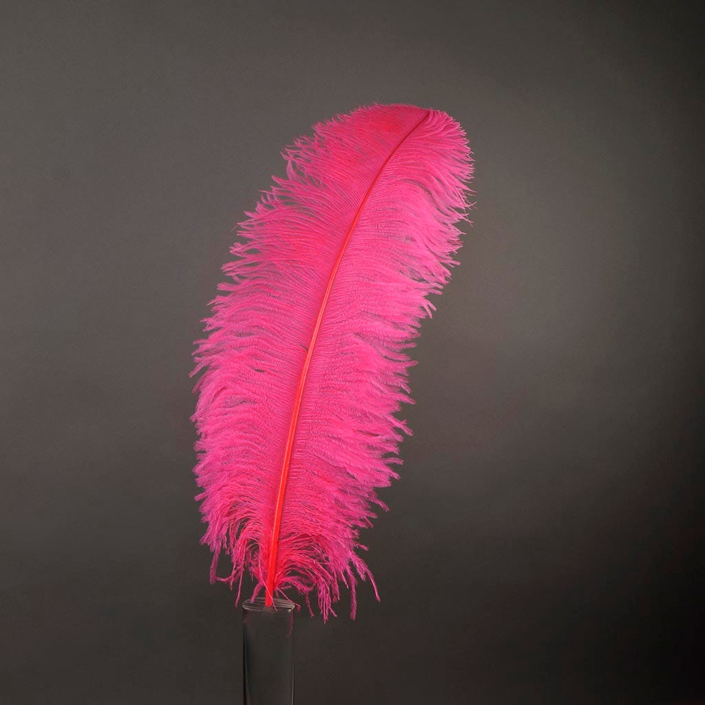 Large Ostrich Feathers - 20-25" Prime Femina Plumes - Pink Orient