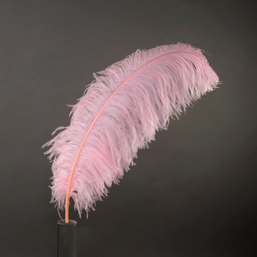 Large Ostrich Feathers - 24-30" Prime Femina Plumes - Candy Pink