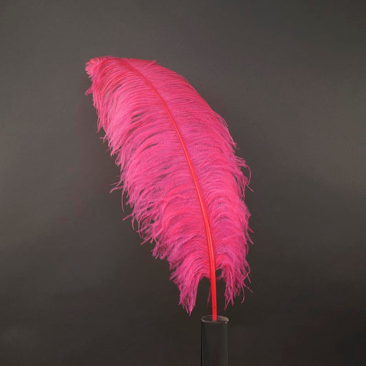 Large Ostrich Feathers - 24-30" Prime Femina Plumes - Pink Orient