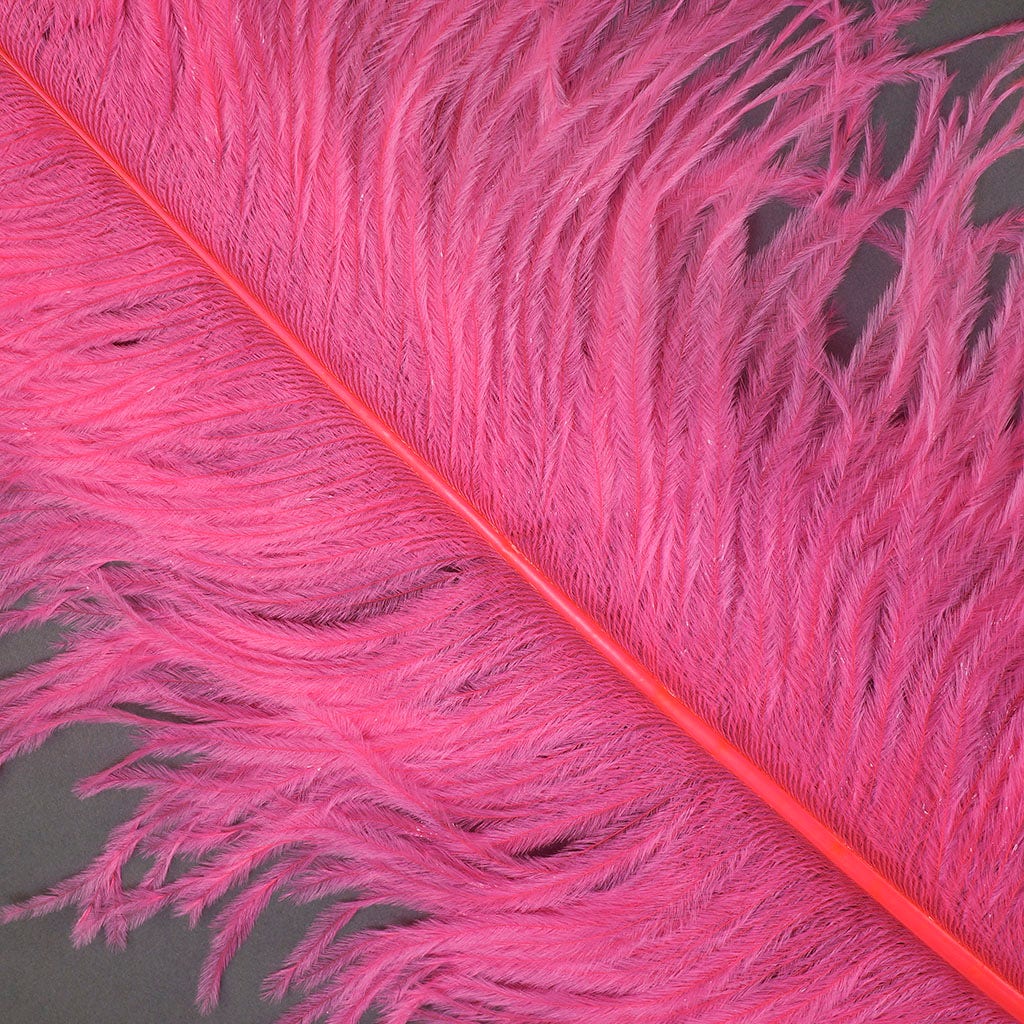 Large Ostrich Feathers - 24-30" Prime Femina Plumes - Pink Orient