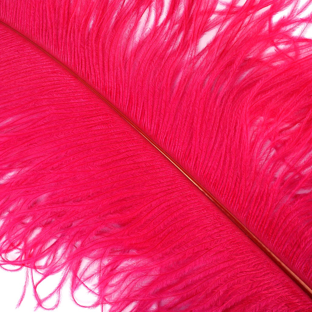 Large Ostrich Feathers - 24-30" Prime Femina Plumes - Shocking Pink