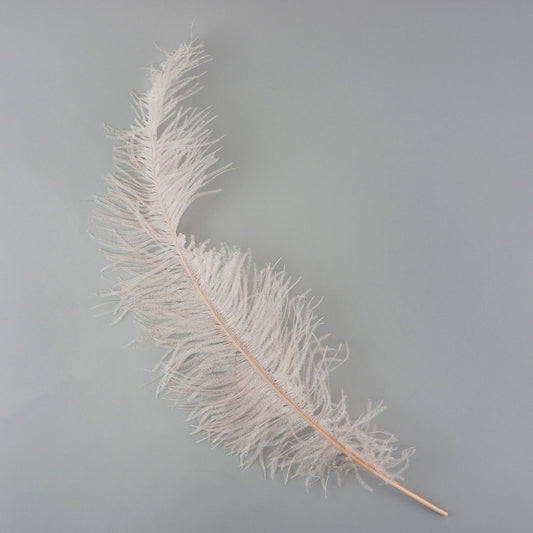 Ostrich Feathers-Spads Damaged - Champagne