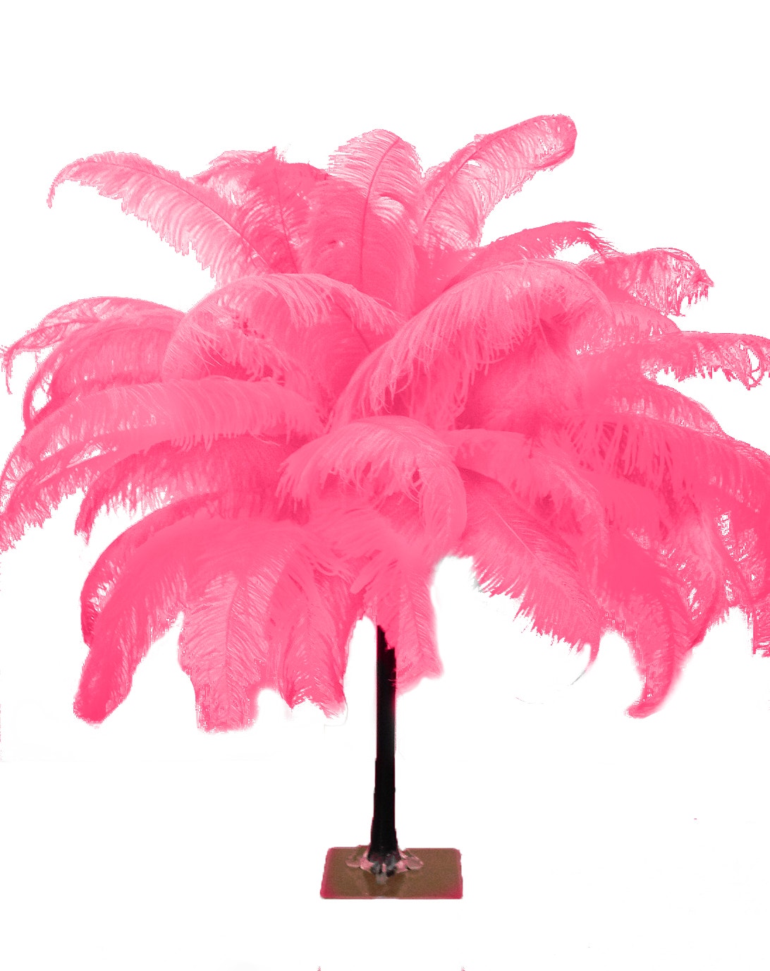 Ostrich Feathers-Spads Damaged - Pink Orient –  by Zucker  Feather Products, Inc.
