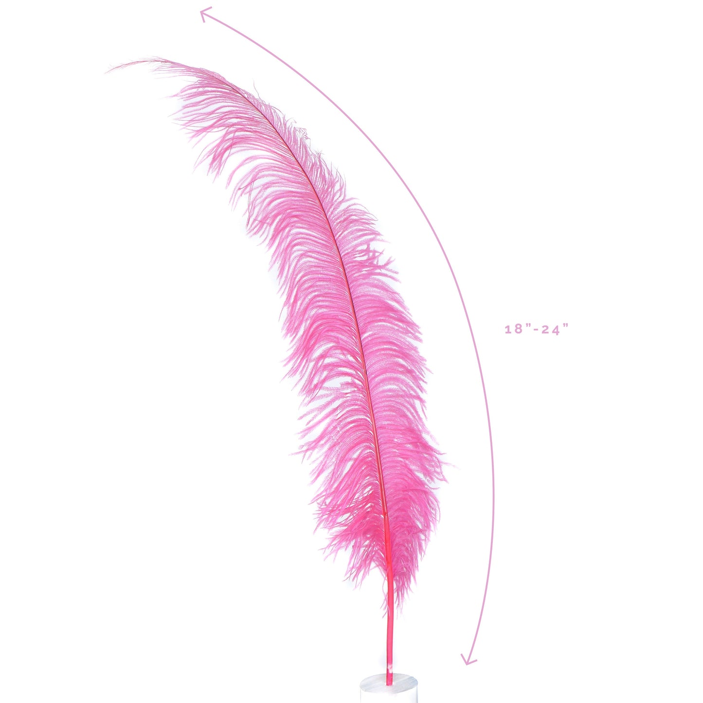 Large Ostrich Feathers - 18-24" Spads - Pink Orient