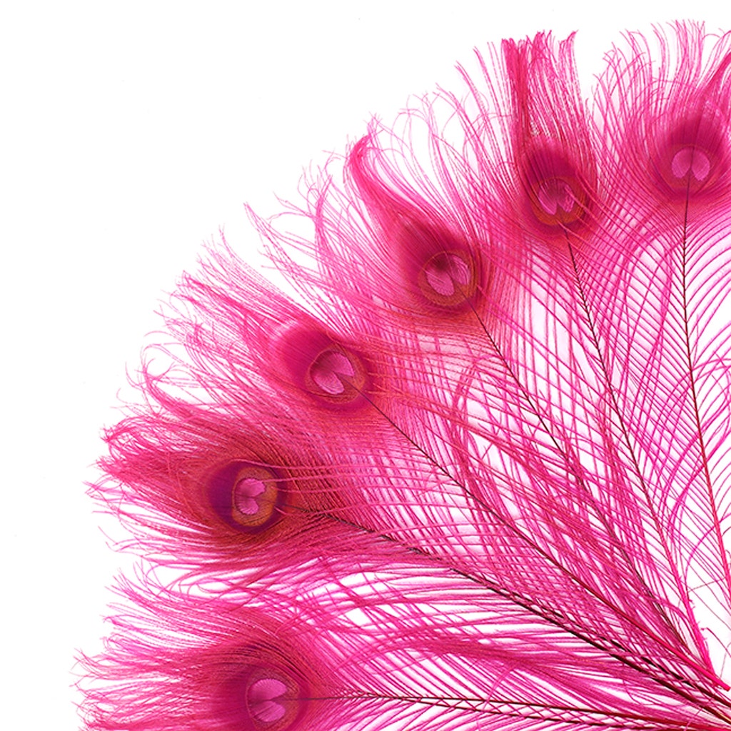Peacock Tail Eyes Bleached and Dyed - 8-15” - 100 pc - Shocking Pink
