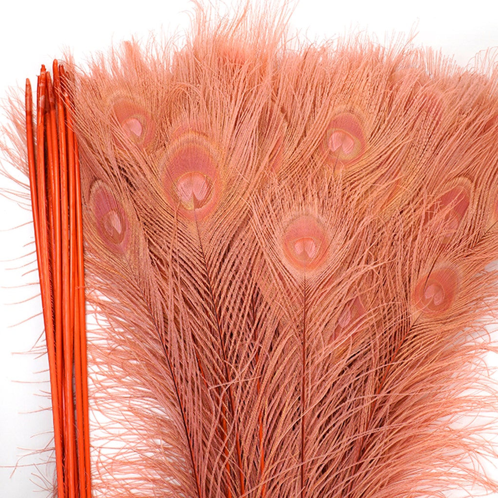 Peacock Tail Eyes Bleached Dyed - 25-40 Inch - 100 PCS - Dusty Rose