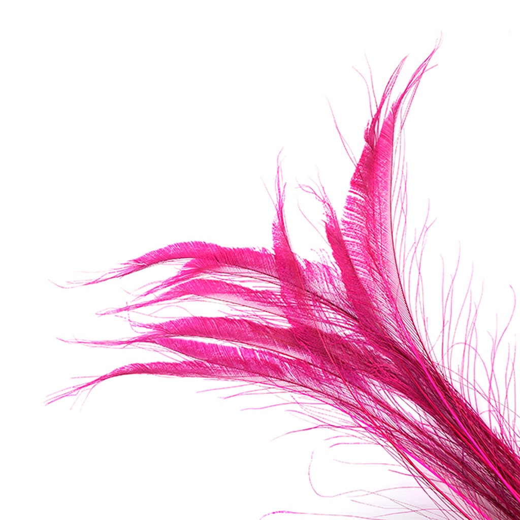 Bleached and Dyed Peacock Sword Feathers - Shocking Pink