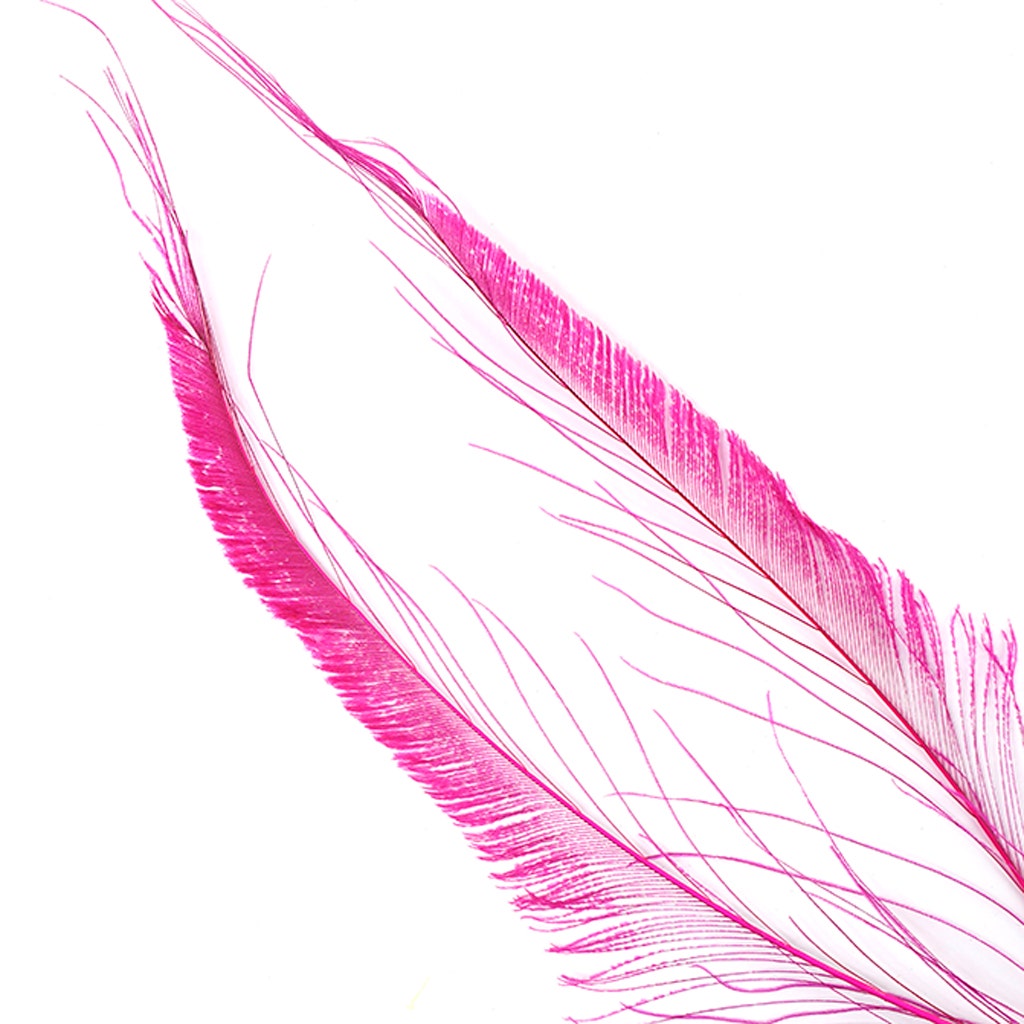 Bleached and Dyed Peacock Sword Feathers - Shocking Pink