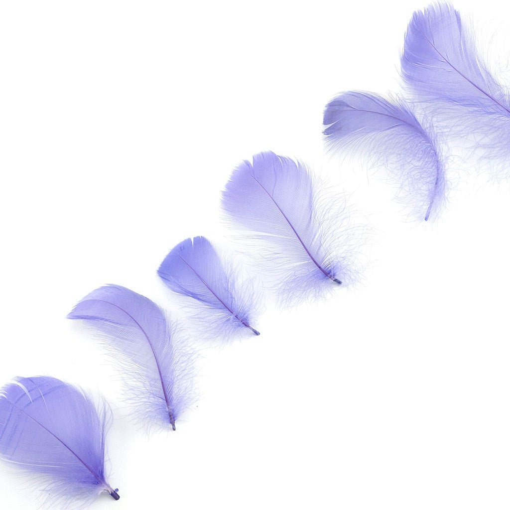 Bulk Goose Coquille Feathers Dyed - Lavender - 1/4 lb