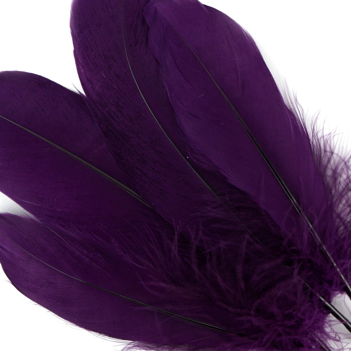 Goose Pallet Feathers 6-8" - 12 pc - Purple