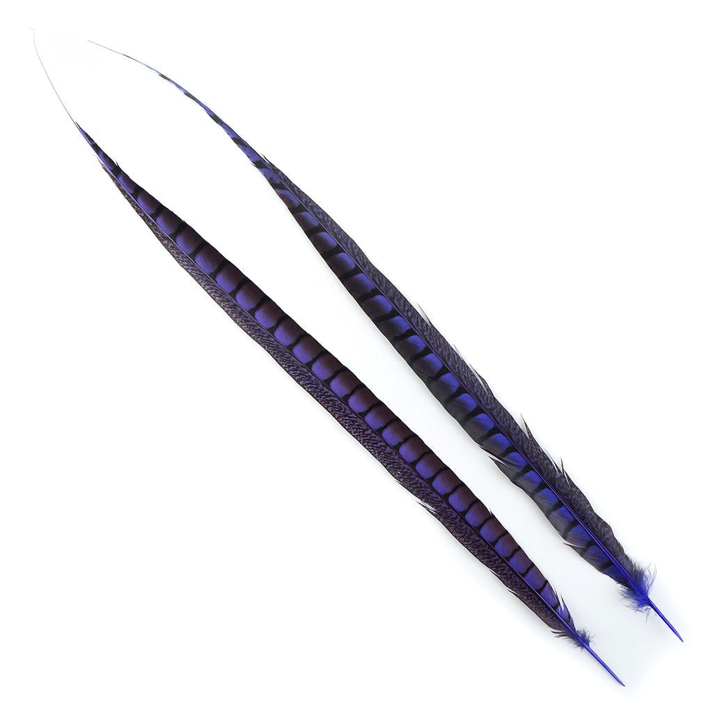 Lady Amherst Pheasant Tails Dyed 1pc Per Package Fl Lilac