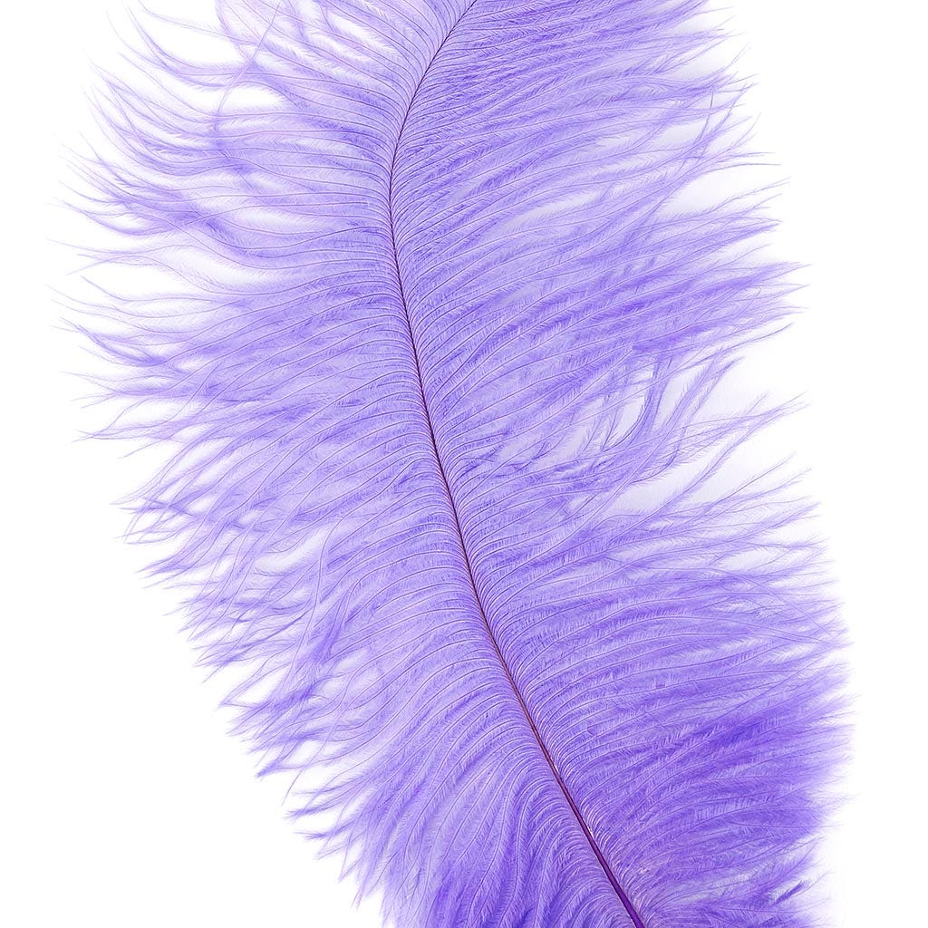 Ostrich Feathers 9-12" Drabs - Lavender