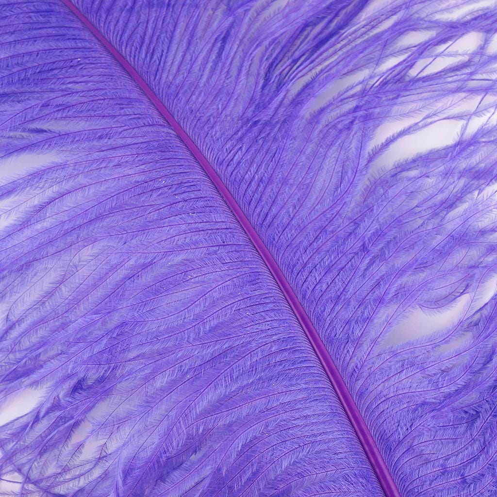 Large Ostrich Feathers - 20-25" Prime Femina Plumes - Lavender