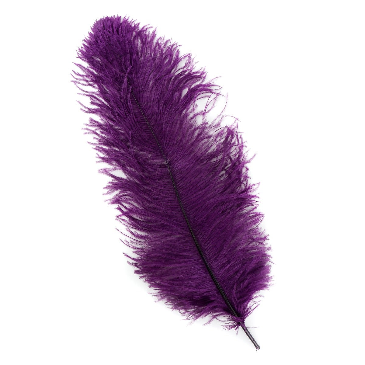 Ostrich Feathers-Damaged Femina - Purple