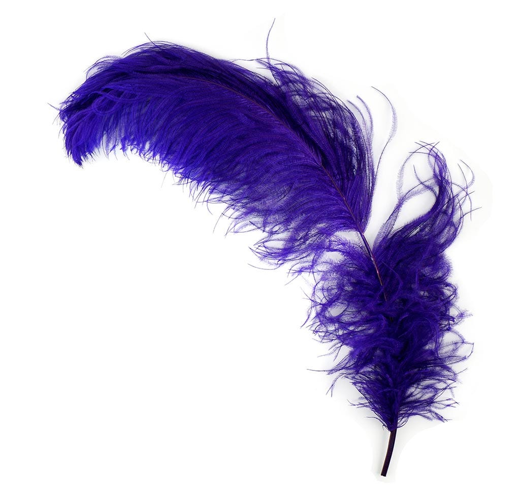 Ostrich Feathers-Damaged Femina - Vibrant Mix