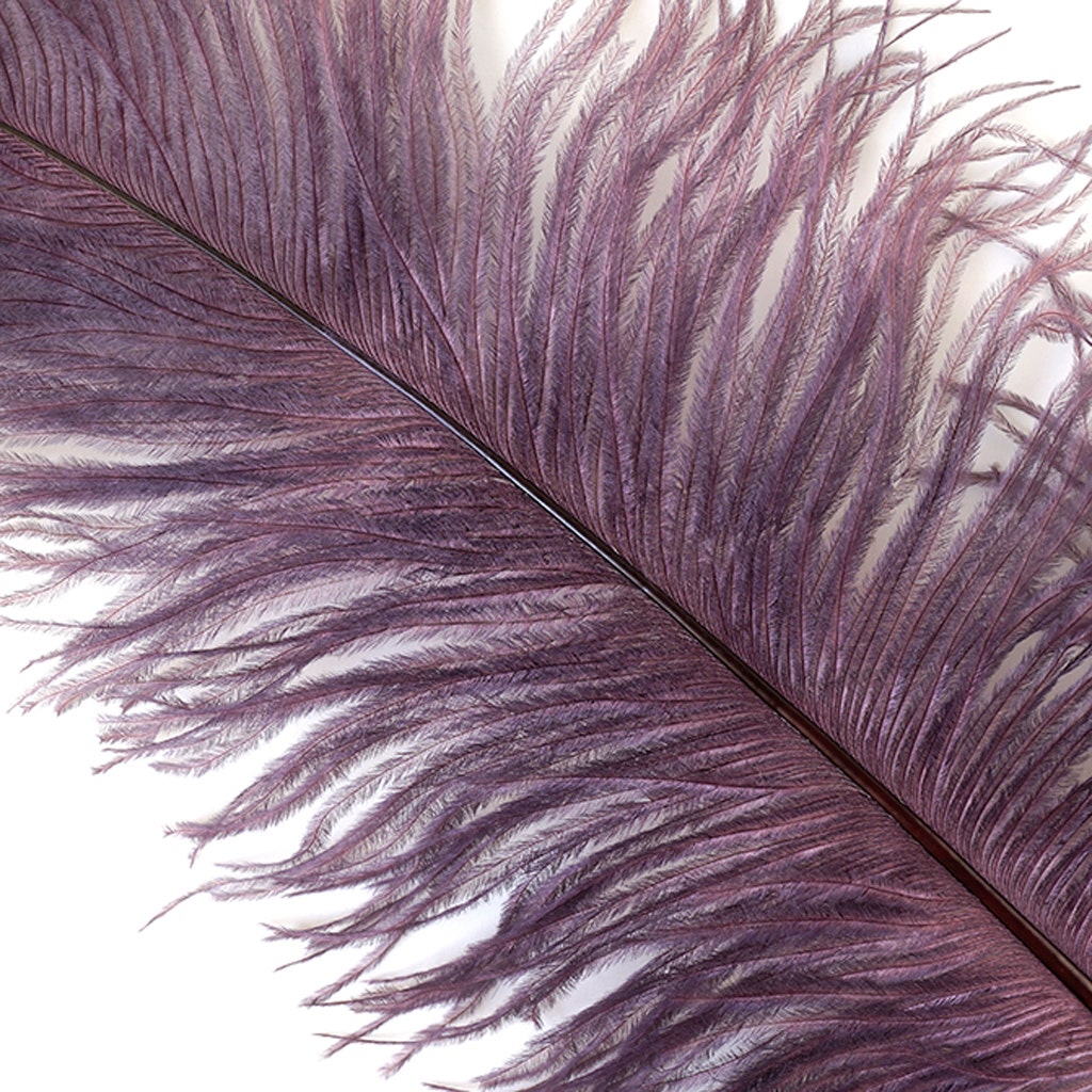 Large Ostrich Feathers - 18-24" Spads - Amethyst
