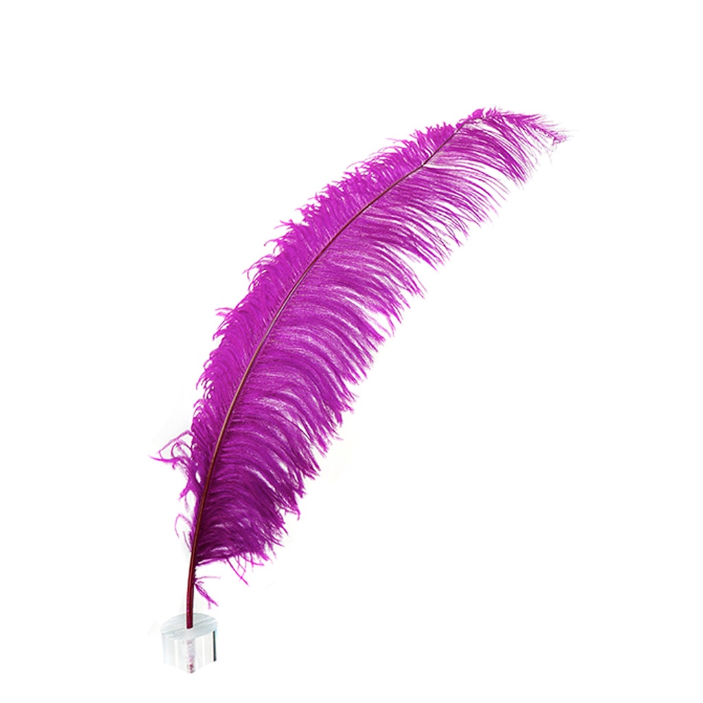 Large Ostrich Feathers - 18-24" Spads - Very Berry