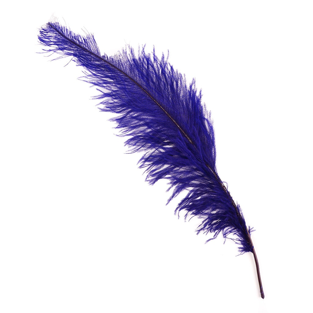 Ostrich Feathers-Spads Damaged - Regal