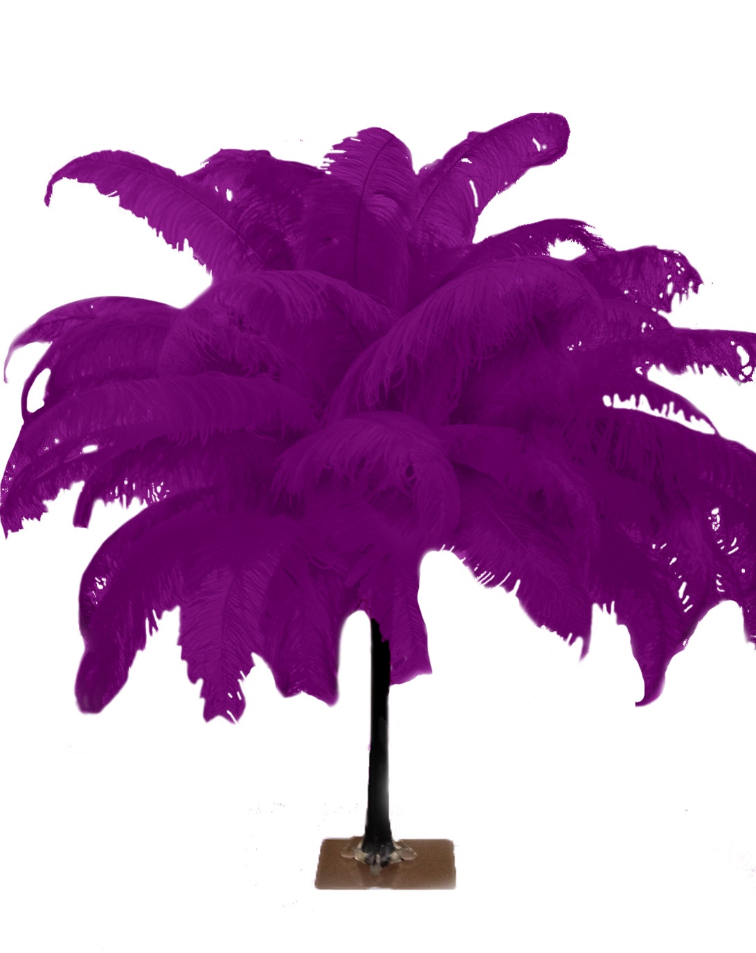 Large Ostrich Feathers - 18-24" Spads - Very Berry