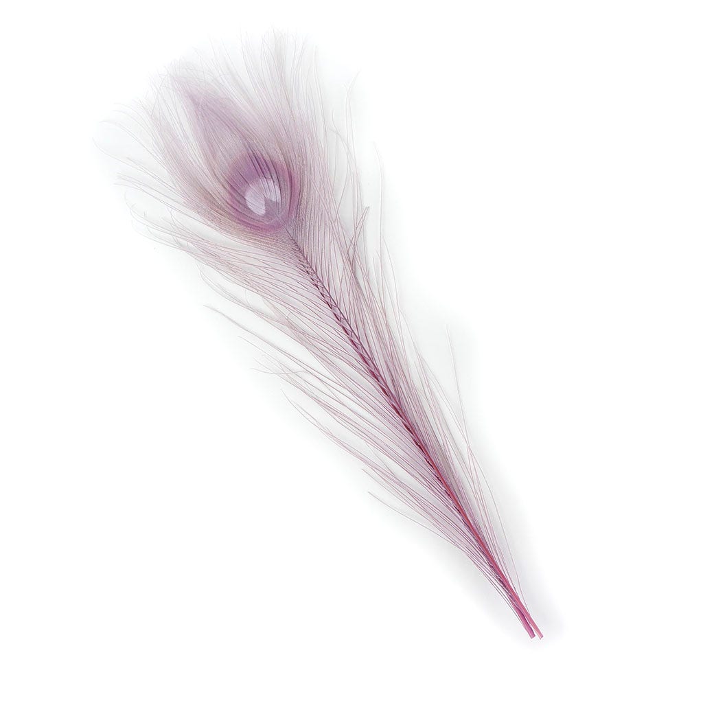 Peacock Feather Eyes Bleached & Dyed Orchid