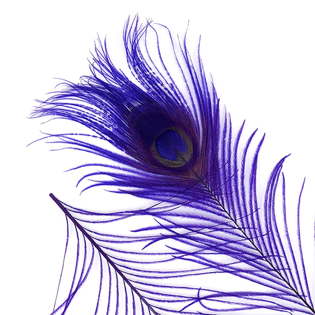 Purple Peacock Feathers | 8-15 Tail Eyes | 5pc