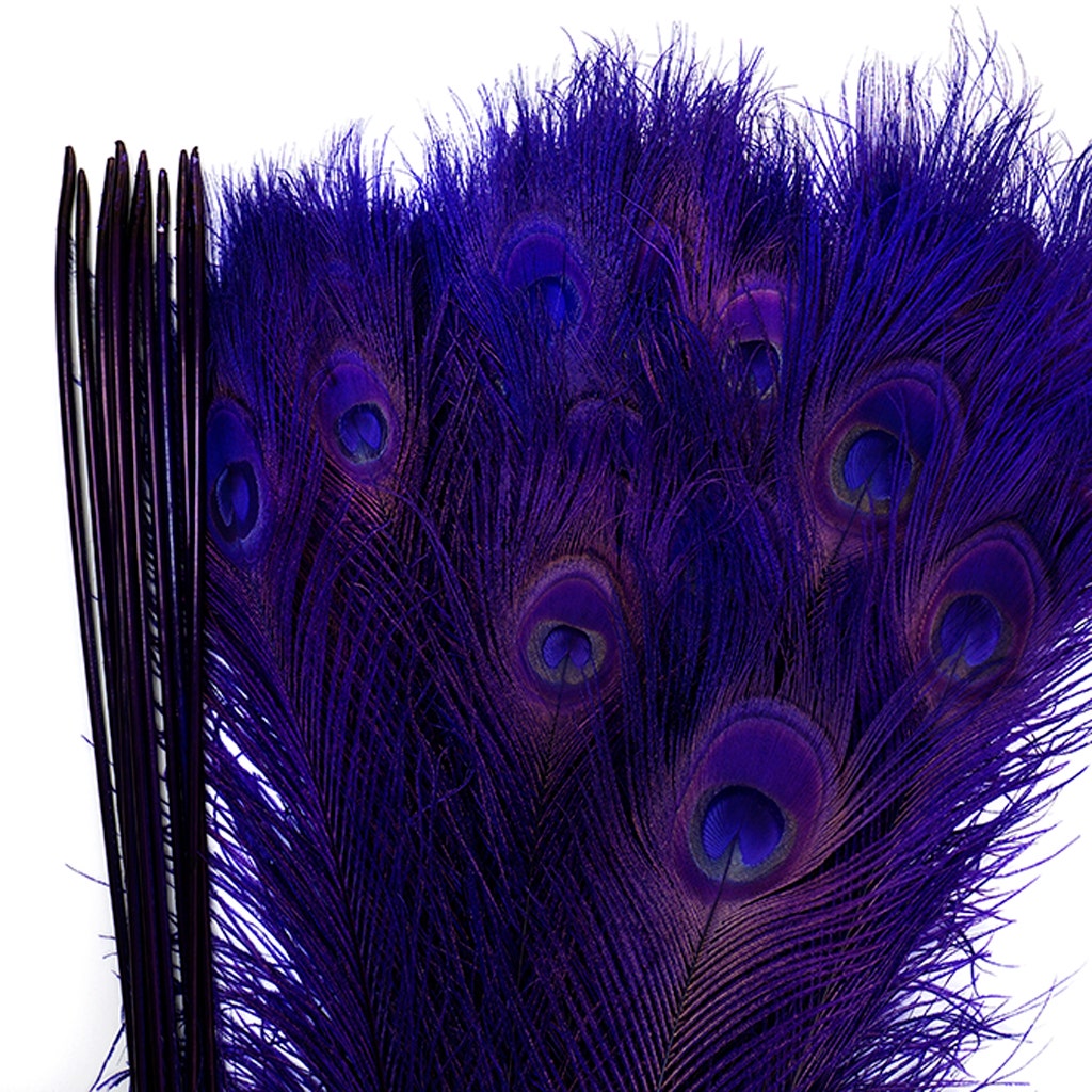 Peacock Eyes Bleached/Dyed Feathers - 25-40 Inch - 10 PCS - Regal