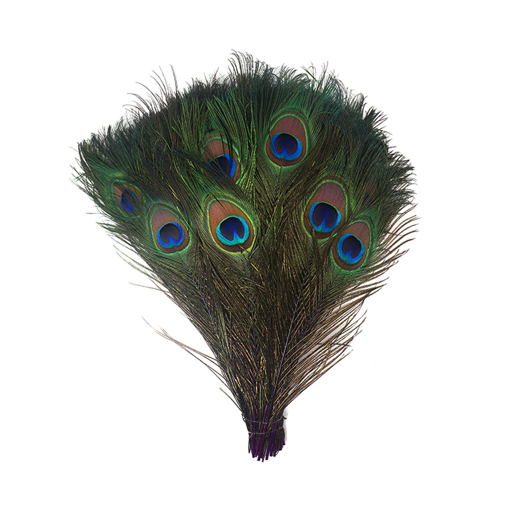 Bulk Peacock Eye Feathers (Full Eye) Stem Dyed  100 PC  8-15" - Purple