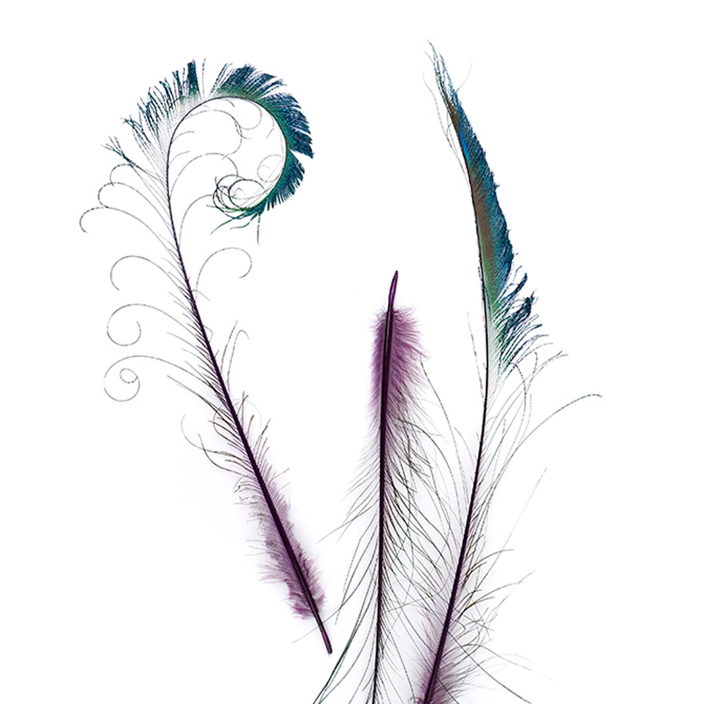 Bulk Peacock Sword Feathers Stem Dyed - 100 pc - 25-40" - Purple