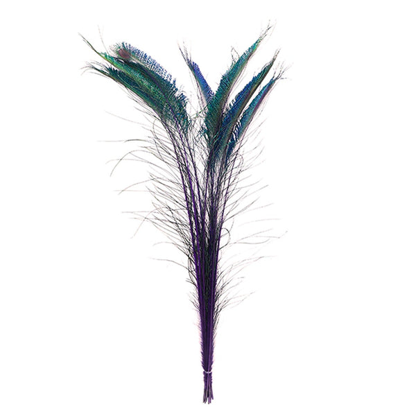 Zucker Feather Products Peacock Swords Stem Dyed - Regal, White