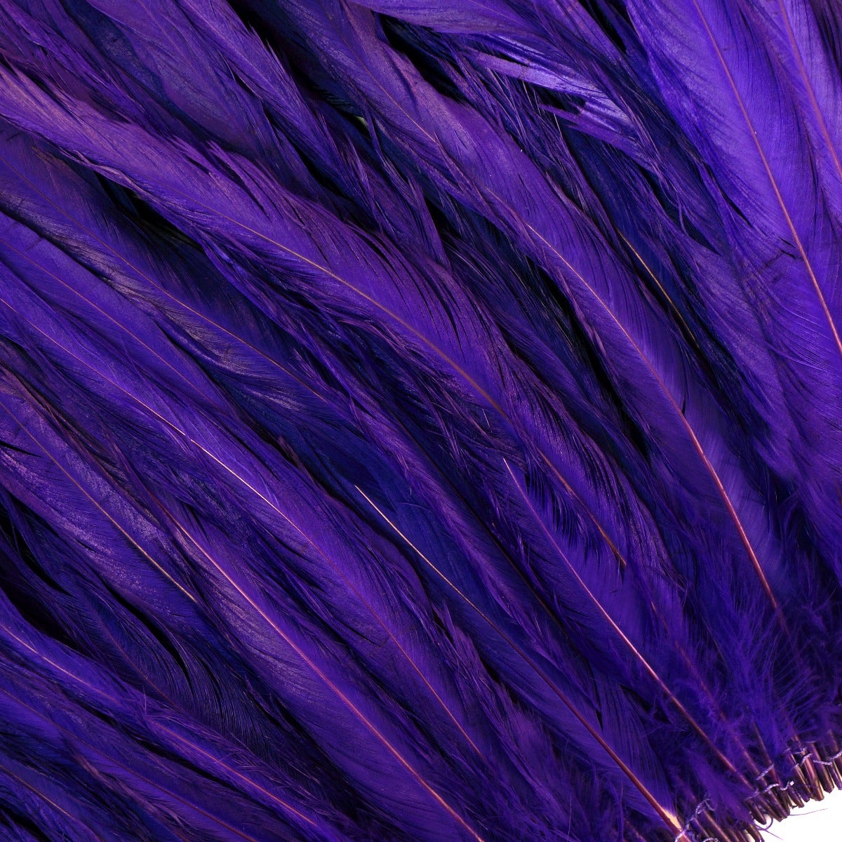 ROOSTER COQUE TAILS FEATHERS BLEACH DYED 7-10” - 1/2 Yard ( 18" ) - Regal